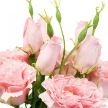 Artificial flowers Lisianthus pink artificial silk flowers 50cm 5pcs