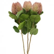 Artificial Flowers, Banksia, Proteaceae White-Purple L58cm H6cm