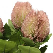 Artificial Flowers, Banksia, Proteaceae White-Purple L58cm H6cm