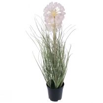 Product Artificial flowers decoration ball flower Allium ornamental onion artificial 54cm