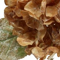 Artificial hydrangea dried up Drylook autumn decoration L33cm