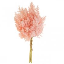 Product Artificial Plant Astilbe Decoration Branches Artificial Pink H38cm 5 Pcs