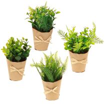 Product Artificial Plants Artificial Fern Boxwood 15-19cm 4pcs