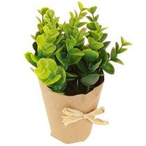 Product Artificial Plants Artificial Fern Boxwood 15-19cm 4pcs