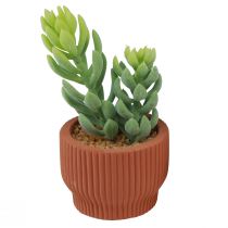 Product Artificial Plants Succulent Cactus Artificial Green Plant 14.5/15.5cm 2pcs