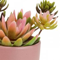 Artificial plants in pots artificial succulents H13cm 3pcs