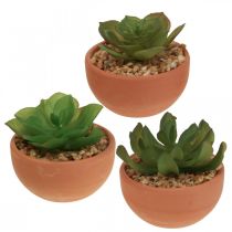 Product Artificial plants in pots artificial succulents H9cm 3pcs