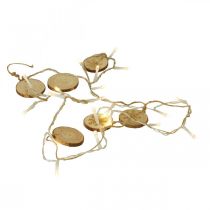Product LED fairy lights inside Christmas lights wooden discs L120cm