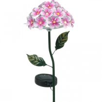 Solar flower, LED garden decoration, decorative chrysanthemum pink L55cm Ø15cm
