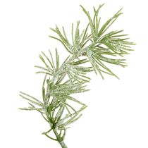 Product Decorative larch garland for atmospheric room design, 250cm