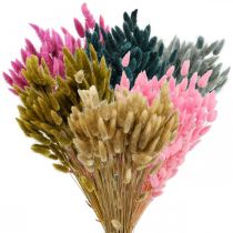 Product Lagurus Dried Hare&#39;s Tail Grass Colored 65-70cm 100g