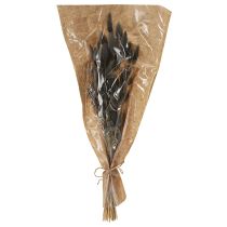 Product Lagurus Dried Hare's Tail Grass Grey 45-55cm 50g