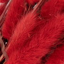 Product Red Dried Lagurus Bouquet 70cm 100g for Indoor Decoration