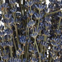 Product Lavender Dried Flowers Decoration Natural 100g 40cm 100g × 2pcs