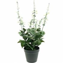Product Artificial Lavender Pot Decorative Lavender Silk Flower in White