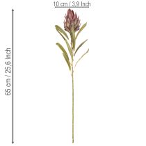 Product Artificial Protea Leucadendron Flowers, 100cm, 3 Stems, Cream, Burgundy, Pink