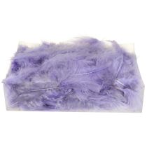 Product Purple Feathers Fluffy Craft Supplies Spring 5–10cm 20g