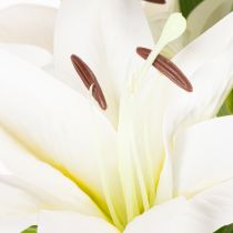 Product Lily Artificial Flower with 6 White Blooms, 66cm Decorative Stem