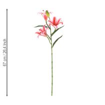 Product Artificial lily for stylish living room decoration and realistic appearance, 67cm, 2 pieces