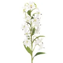 Product Artificial White Lily Stem with Long Flowers 80cm