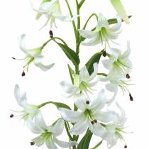 Product Lily White 82cm