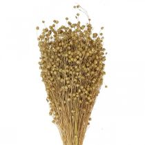 Product Natural flax, grasses for dry floristry, Linum natural product 160g