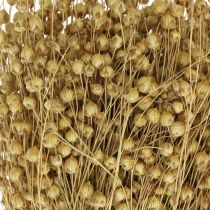 Product Natural flax, grasses for dry floristry, Linum natural product 160g