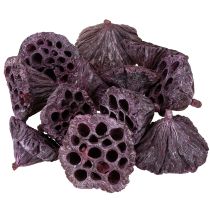 Product Lotus pods Dried lotus Pink White washed Ø6-9cm 50pcs