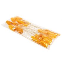 Product Luffa large on a stick golden yellow 25 pcs