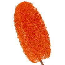Product Luffa large on a stick orange 25 pcs