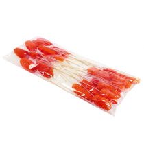 Product Luffa large on a stick orange 25 pcs