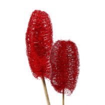 Product Luffa large on a stick red 25 pcs