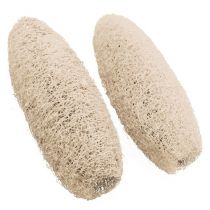 Product Luffa large bleached 20 pcs