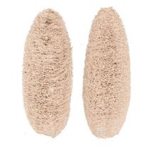 Product Luffa large bleached 20 pcs