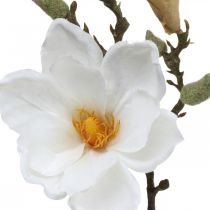 Product Magnolia white artificial flower with buds on decorative branch H40cm