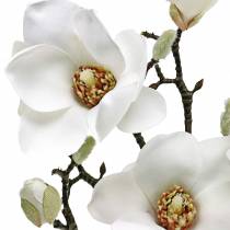 Product Magnolia branch white Decorative branch magnolia artificial flower