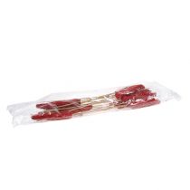 Product Dried corn cobs on stick Dried décor Red 10-18cm 20pcs