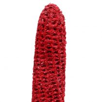 Corn cobs on a stick red, washed white 20pcs