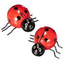 Product Wooden ladybugs/lucky bugs as cute decorations for the home, 5cm, 6 pieces
