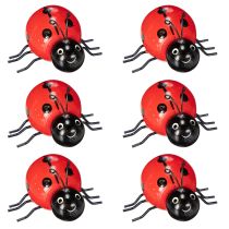 Product Wooden ladybugs/lucky bugs as cute decorations for the home, 5cm, 6 pieces