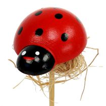 Product Ladybug on wooden stick with sisal decor 3.5cm 24 pcs