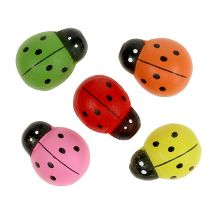 Product Ladybugs colorful 2.5cm 60 pcs