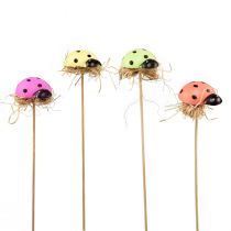Product Ladybird decorative flower plug wood 2.5x3.5x2cm 32pcs