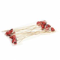 Product Decorative plug ladybird on stick wood red, black 4cm x 2.5cm H23.5cm 16 pcs