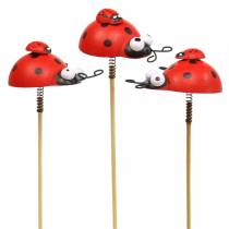 Product Decorative plug ladybird on stick wood red, black 4cm x 2.5cm H23.5cm 16 pcs