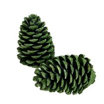 Maritima cones 10cm - 16cm green frosted 12pcs