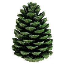 Product Maritima cones 10cm - 16cm green frosted 12 pcs