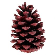 Product Maritima cones 10-15cm red frosted 12pcs