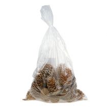 Product Maritima cones cream-vanilla mixed 5-18cm 25 pcs
