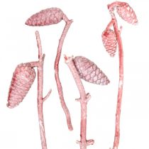 Maritime cones on branch pink / white waxed 400g